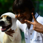 Puspa Rani salva la vida de ‘Christmas’, un perro encontrado por unos niños con una gravísima herida en la cabeza