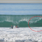 Una mujer fotografió a su hijo de 12 años mientras hacía surf y justo por detrás pasaba un gran tiburón blanco