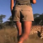 Mujeres caminando entre leones y guepardos en África