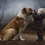 El niño que susurraba a los animales: Las fotografías íntimas de una madre capturan el vínculo especial de sus hijos con los animales