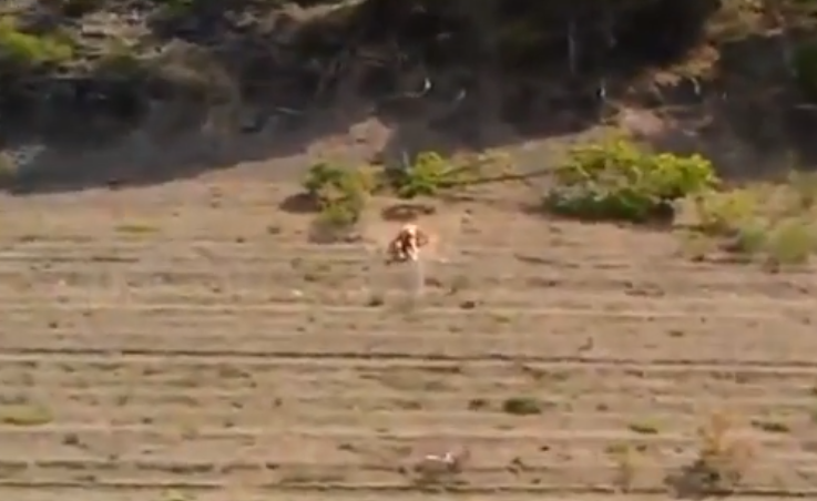 Están echando un polvo en mitad de la colina y los amigos se lo joden tirándoles un cohete