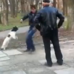 Un hombre borracho defiende a su pequeño perro después de que otro joven, también borracho, agrediera al animal