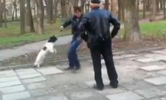 Un hombre borracho defiende a su pequeño perro después de que otro joven, también borracho, agrediera al animal