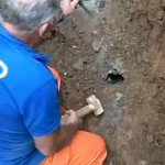Vídeo del rescate de “Tubo”, un perro que estuvo atrapado en una tubería de agua durante tres días