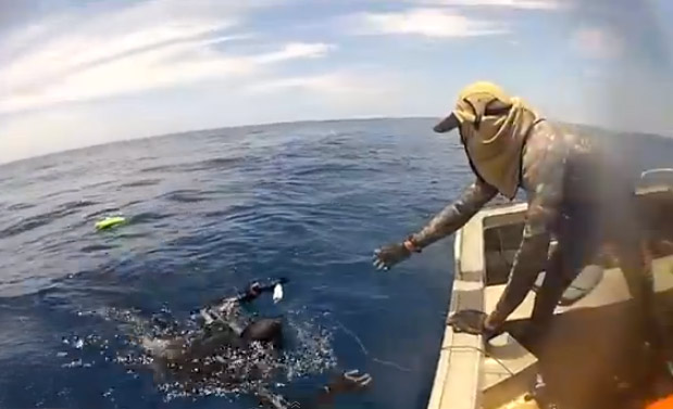 Salir a hacer pesca con arpón y encontrarte con un tiburón tigre