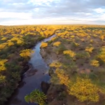 Quadricóptero sobrevolando el Serengeti