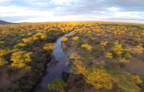 Quadricóptero sobrevolando el Serengeti