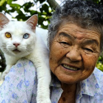 Misao Ihara y Fukumaru, la hermosa historia de una anciana y su gato en 19 fotografías