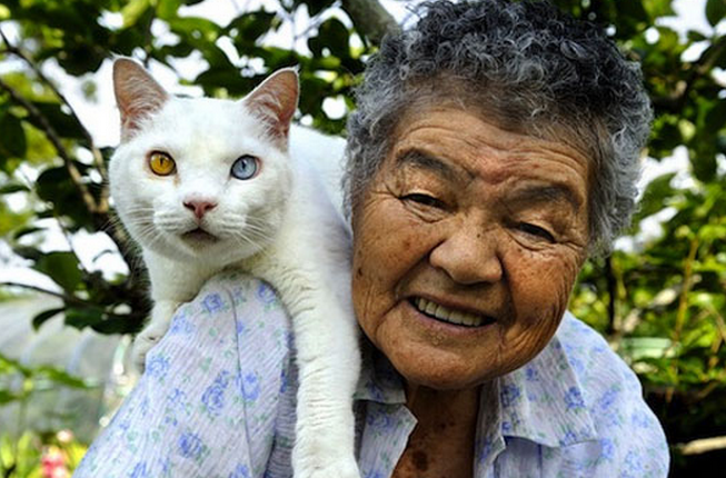 Misao Ihara y Fukumaru, la hermosa historia de una anciana y su gato en 19 fotografías