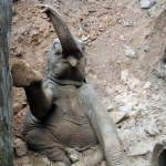 Un elefante bebé que cayó a un hoyo es rescatado por los pasajeros de un tren en la India