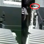 Vídeo del momento en el que un ‘hombre’ lanza un perro contra el árbitro durante un partido de fútbol