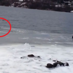 Un hombre rescata a su perro después de caer en un lago helado de Noruega