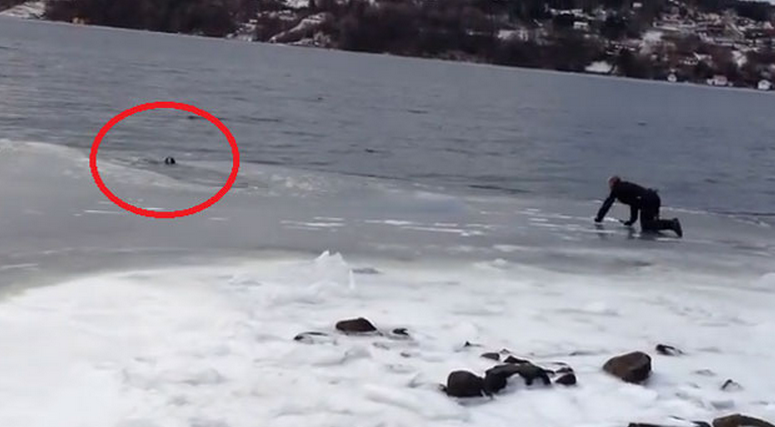 Un hombre rescata a su perro después de caer en un lago helado de Noruega