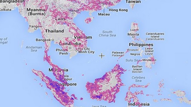 El drama de la deforestación en un mapa