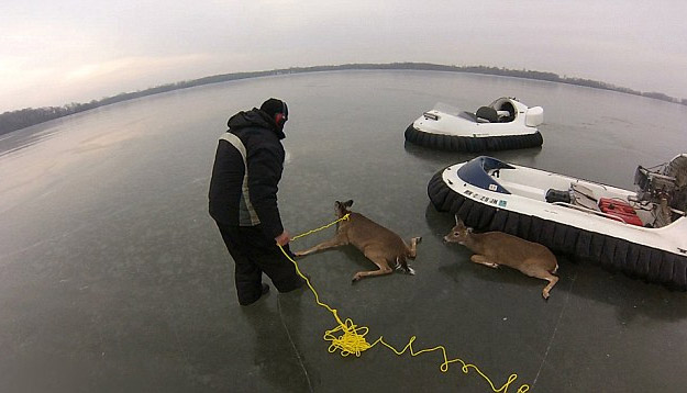 Un padre y un hijo rescatan con un hovercraft a unos ciervos atrapados en el hielo
