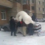 Metiendo un enorme oso de peluche en el coche... Rusia