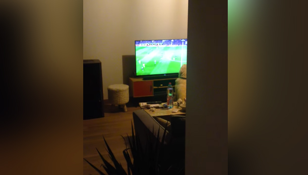 Entra en el salón y se encuentra a su perro viendo el fútbol totalmente atento a cada jugada