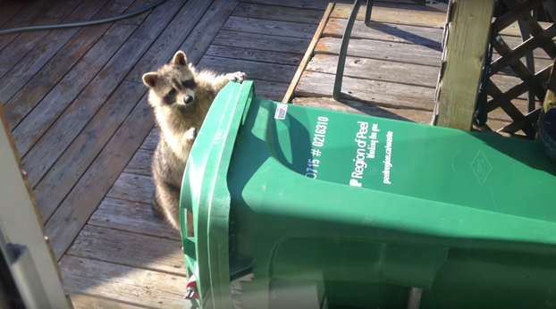 ¿Qué no puedo abrir el cubo de basura? Pues me lo llevo...