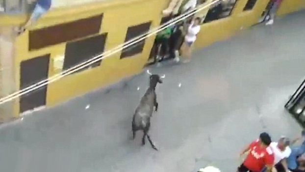 Una mujer muere tras ser corneada por una vaquilla en un encierro en Murcia (Vídeo)