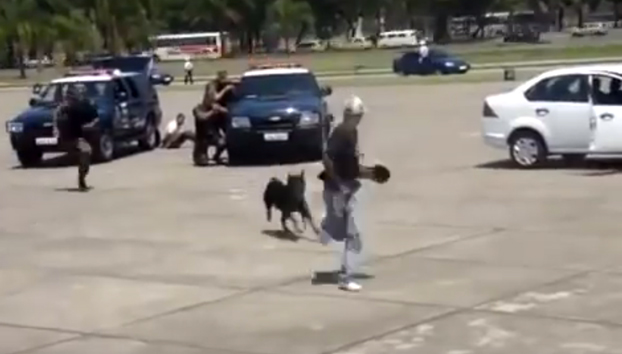 Un perro policía ataca a uno de los agentes durante una demostración