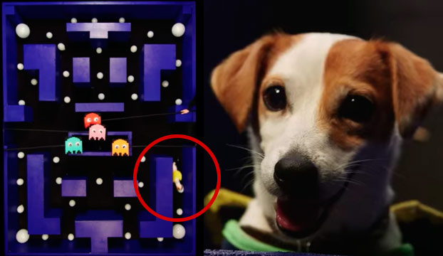 Este perro es todo un 'Dios' jugando al Pac-Man