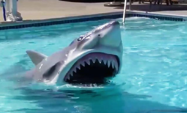 Disfraz de tiburón perfecto para trolear un día de playa