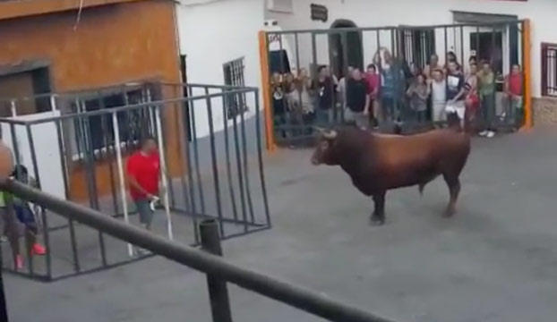 Un toro rompe la jaula de seguridad y embiste brutalmente a un hombre que estaba dentro en Valencia