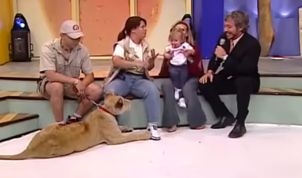 Una leona ataca a una niña durante un programa en directo (Vídeo)