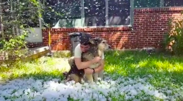 Una joven provoca una 'nevada' en el jardín de su casa para que su perro pueda jugar antes de ser sacrificado