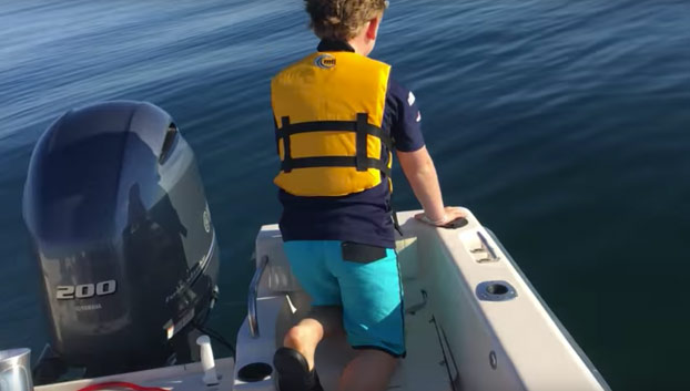 Un padre y su hijo graban como un tiburón blanco de 6 metros empieza a dar vueltas alrededor de su barco