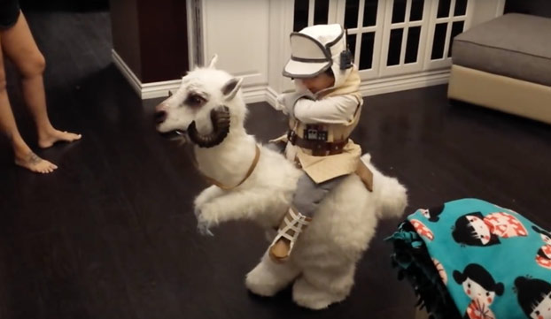 Magnífico el disfraz de Tauntaun de este niño