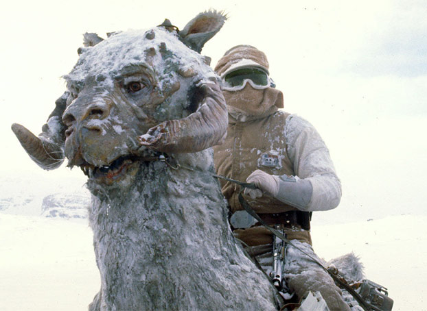 tauntaun-1