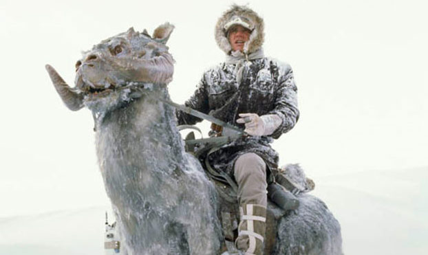 tauntaun-2