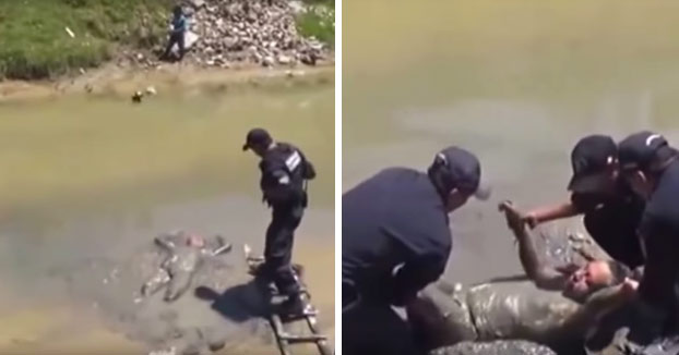 ''Yo no he hecho nada''. Lo dan por muerto en el barro y solo estaba recuperándose de la peor resaca de su vida