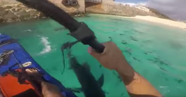Se encuentra con un grupo de tiburones mientras que iba en kayak en Isla Ascensión y los espanta a palazos