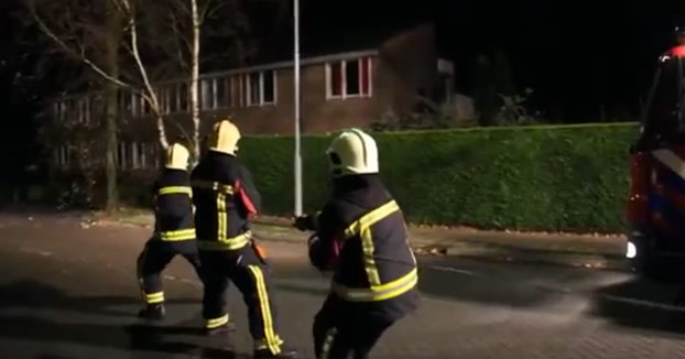 El perro que ayudó a los bomberos a derribar un árbol