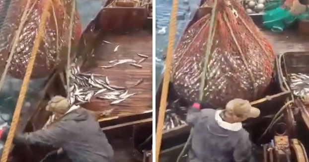 Estos pescadores se llevan una enorme sorpresa al ver lo que acaban de pescar sin saberlo