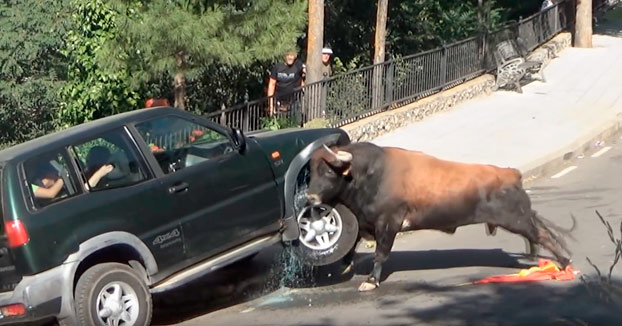 Cuando estás viendo un encierro con la familia en un 4x4 y el toro te destroza el coche (Vídeo)