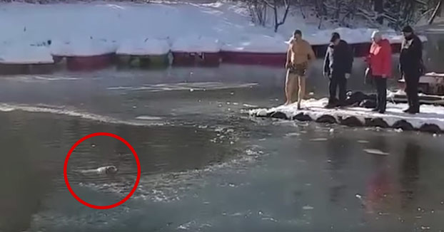Se desnuda y no duda en tirarse al lago congelado para salvar a un perro que no podía salir