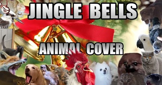 El Jingle Bells más animal que verás jamás