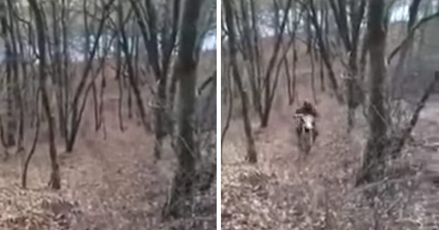 Aparcando la moto like a boss en el bosque