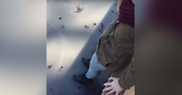 Mujer probando la resistencia del hielo