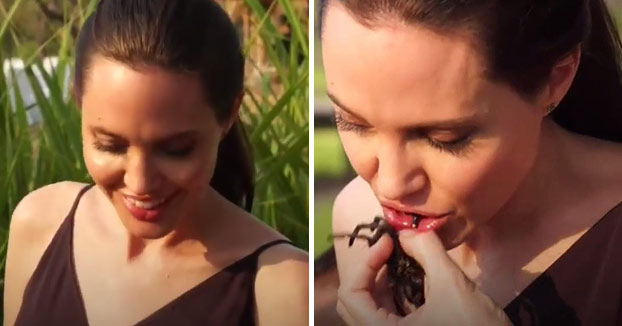 Angelina Jolie comiendo escorpiones y tarántulas junto con sus hijos (Vídeo)