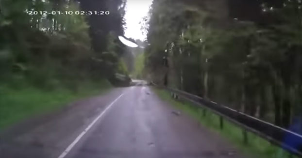 Van tranquilamente en coche por mitad del bosque cuando de repente empieza el apocalipsis