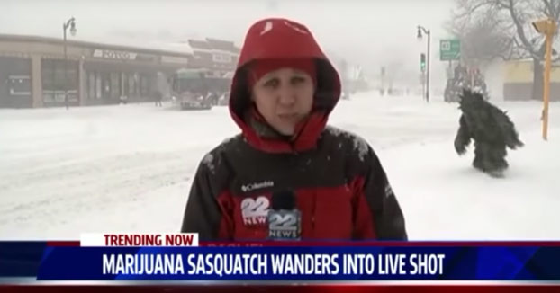 Esta reportera fue sorprendida por un hombre-marihuana en plena retransmisión en directo