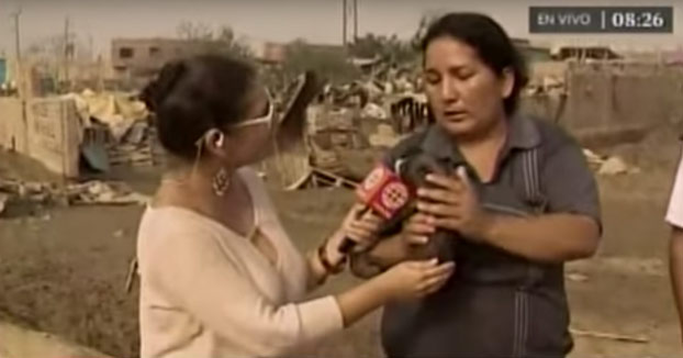 Una mujer amamanta a su cerdito huérfano en pleno directo