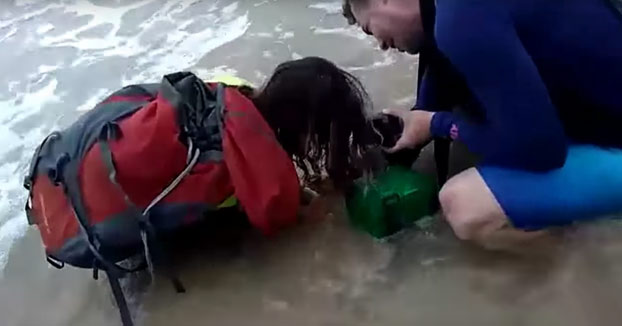 Una turista saca a un tiburón del agua para hacer un selfie y se lleva un buen mordisco de recuerdo