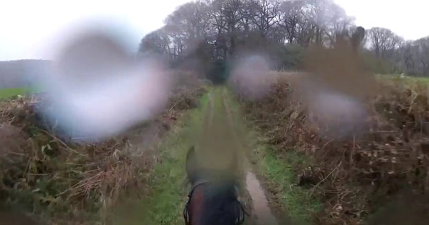 Este caballo de carreras olvida que ya está retirado y le hace pasar un mal rato a su jinete