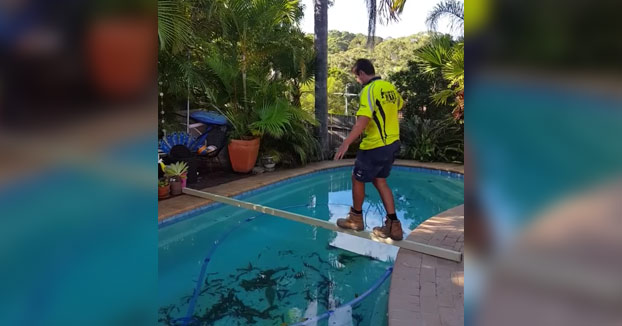 Este chico aceptó la apuesta: 100 euros si era capaz de cruzar la piscina por el listón de madera