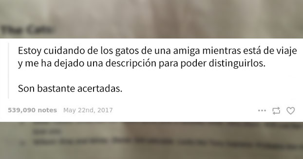 Esta cuidadora de gatos no se pudo resistir a compartir la nota que le dejó la dueña